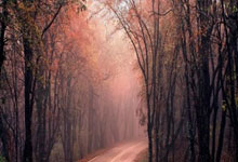 解放军演习戳破"美日救台"迷梦