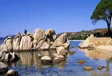 浙江一理发师用雪雕出"招财貔貅"